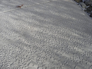 Concrete Sealer Bozeman, Montana